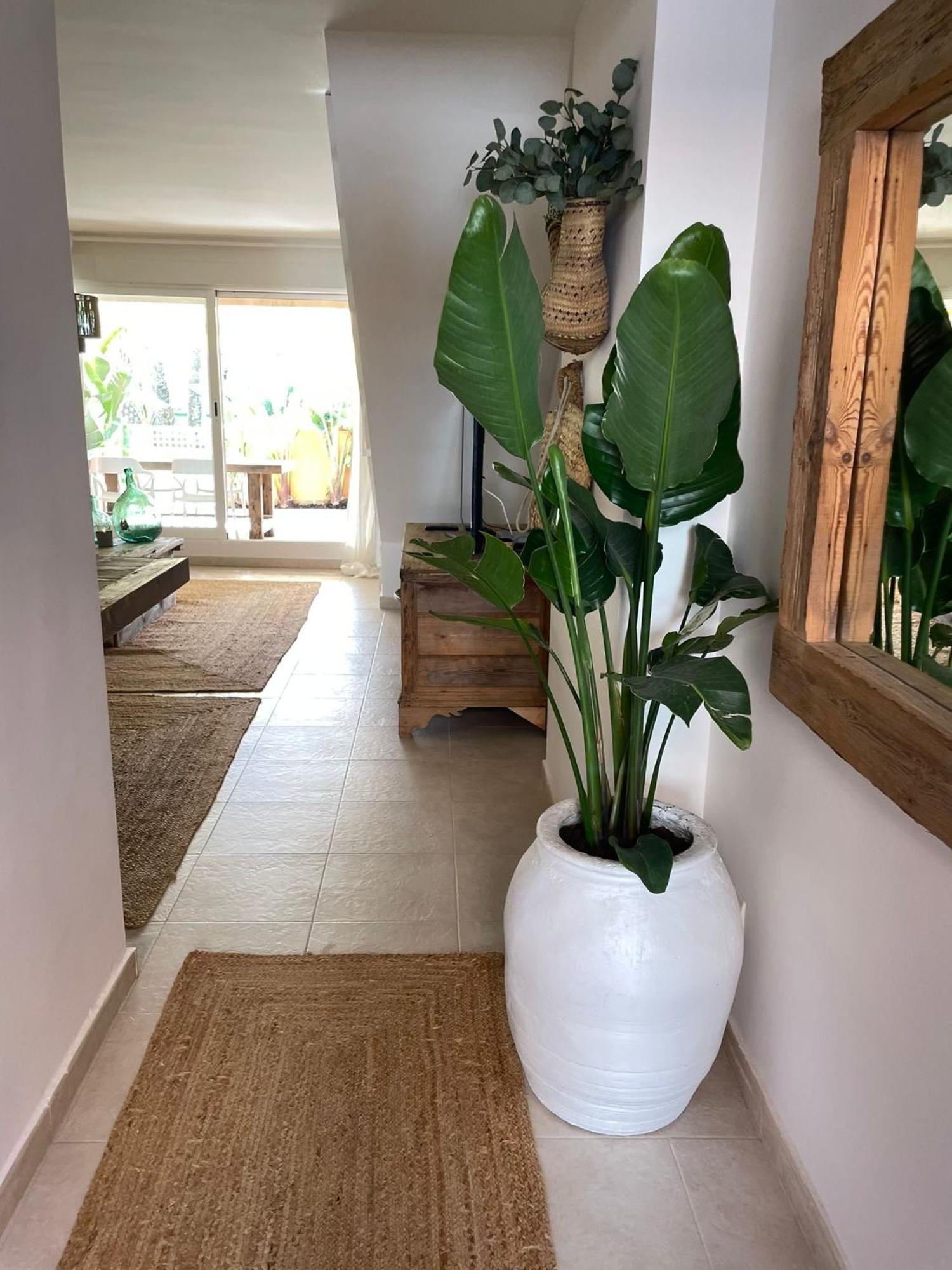 Alojamiento Arenal Park Jávea Екстериор снимка